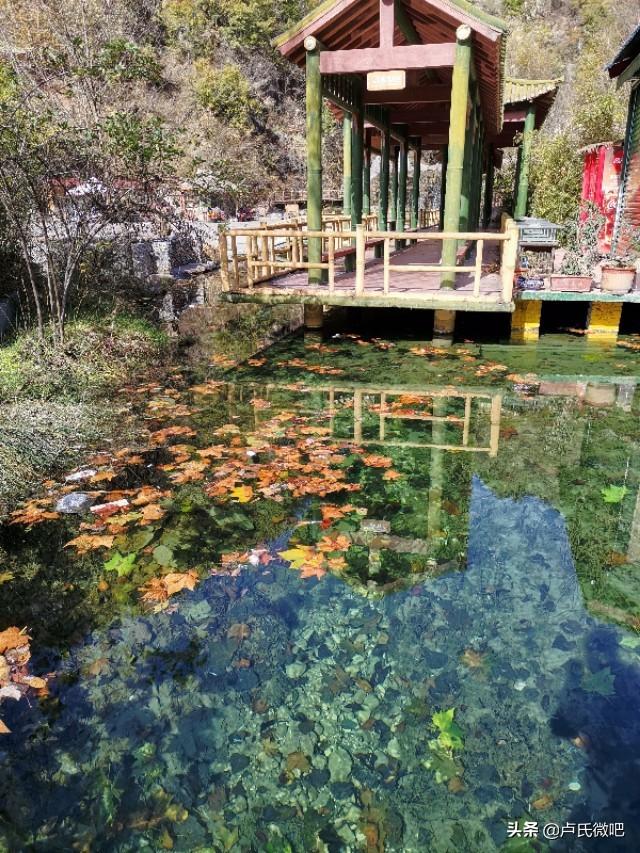 扫黑除恶宣传标语的历史背景与时代价值揭示