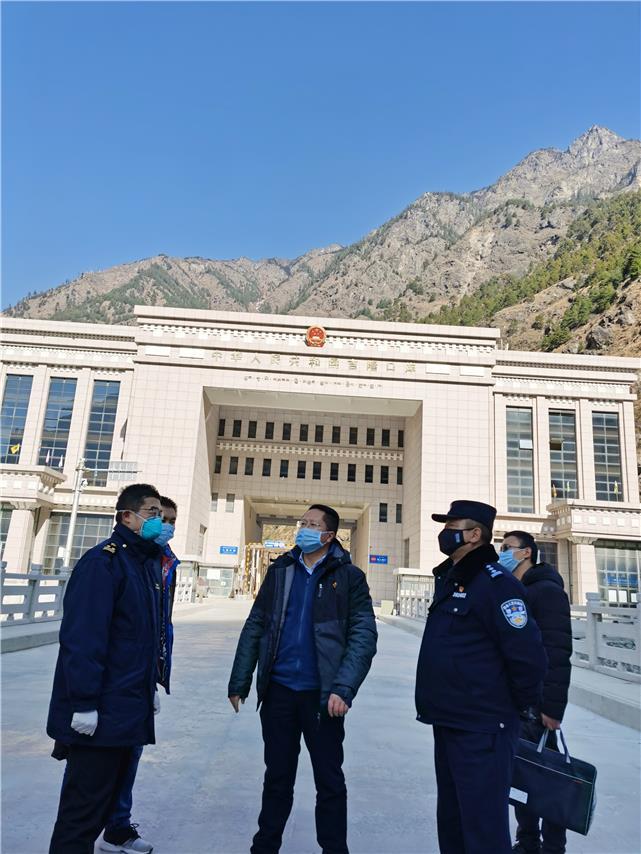 全球视野下的新型疫情初现与早期应对策略汇总报告