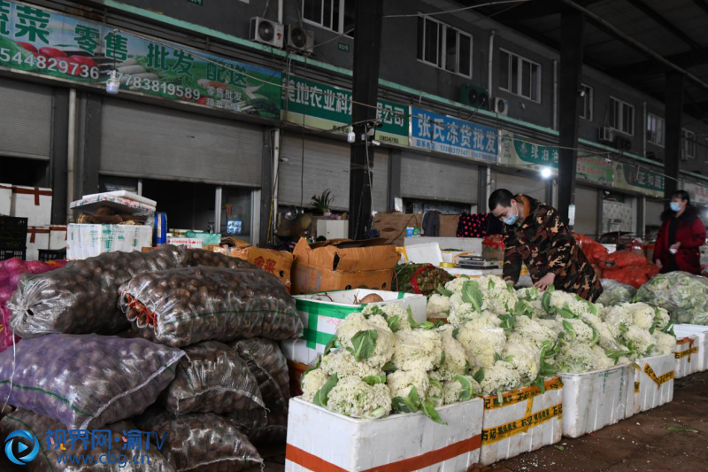 蔬菜批发市场首批信息解析报告