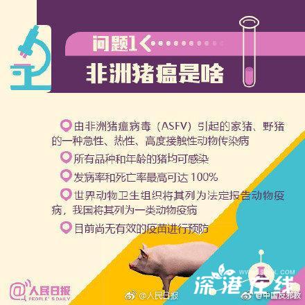 德国首次非洲猪瘟消息及其影响概述