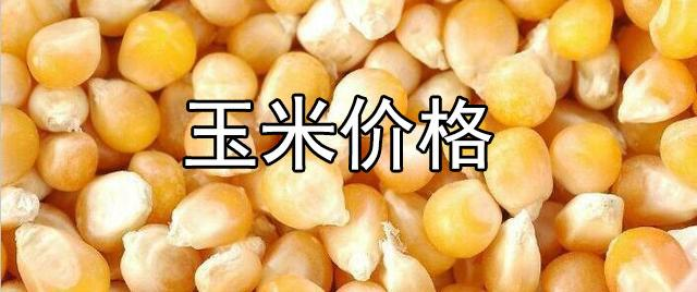 山西玉米价格历史回顾与影响分析