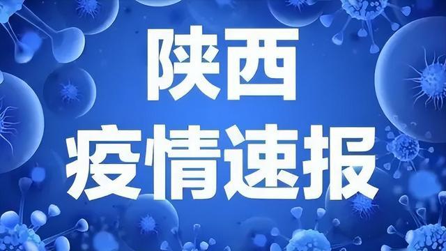 陕西省新冠疫情最早通报，回顾历程与启示