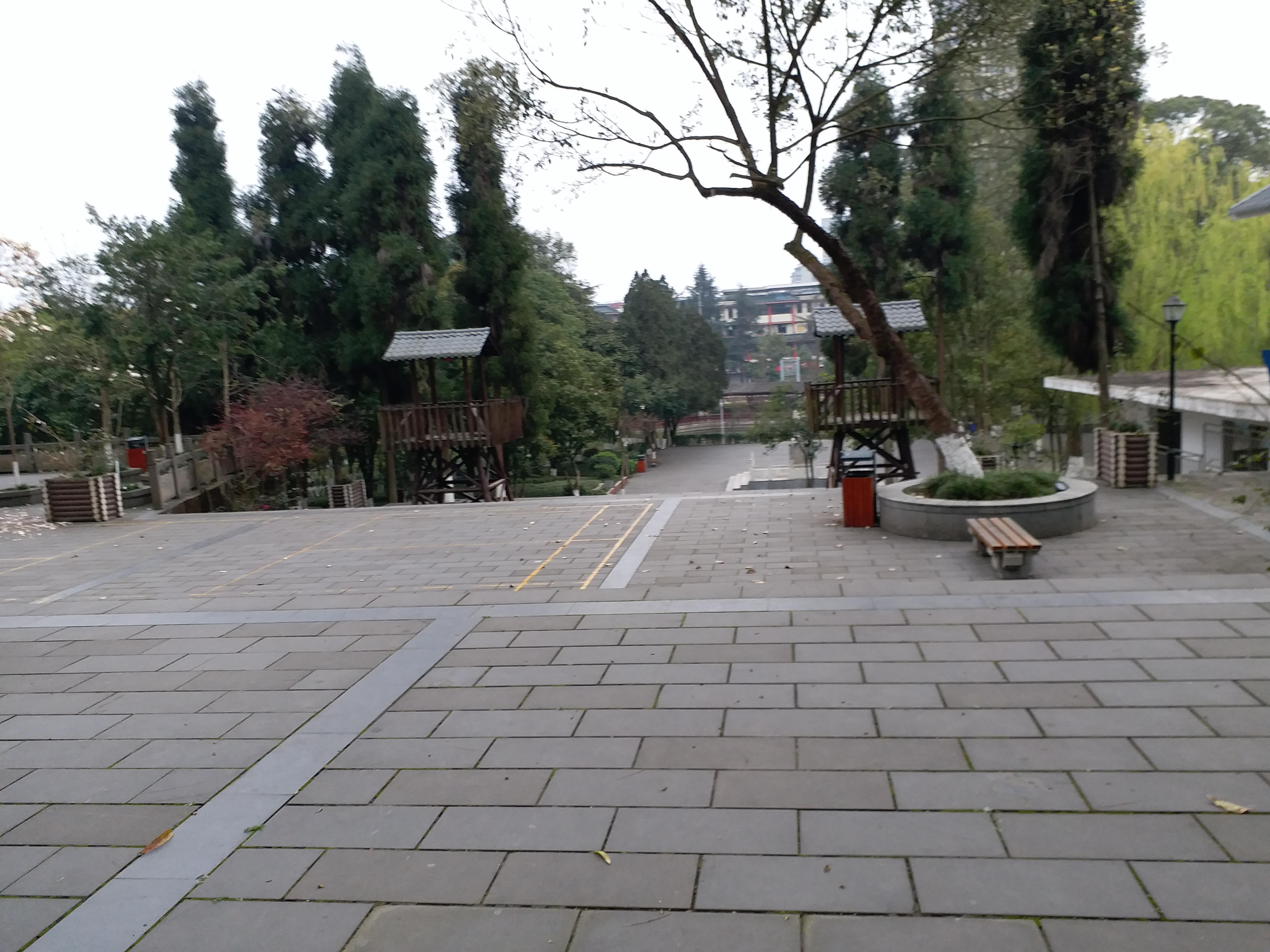 成都市疫情早期现状分析