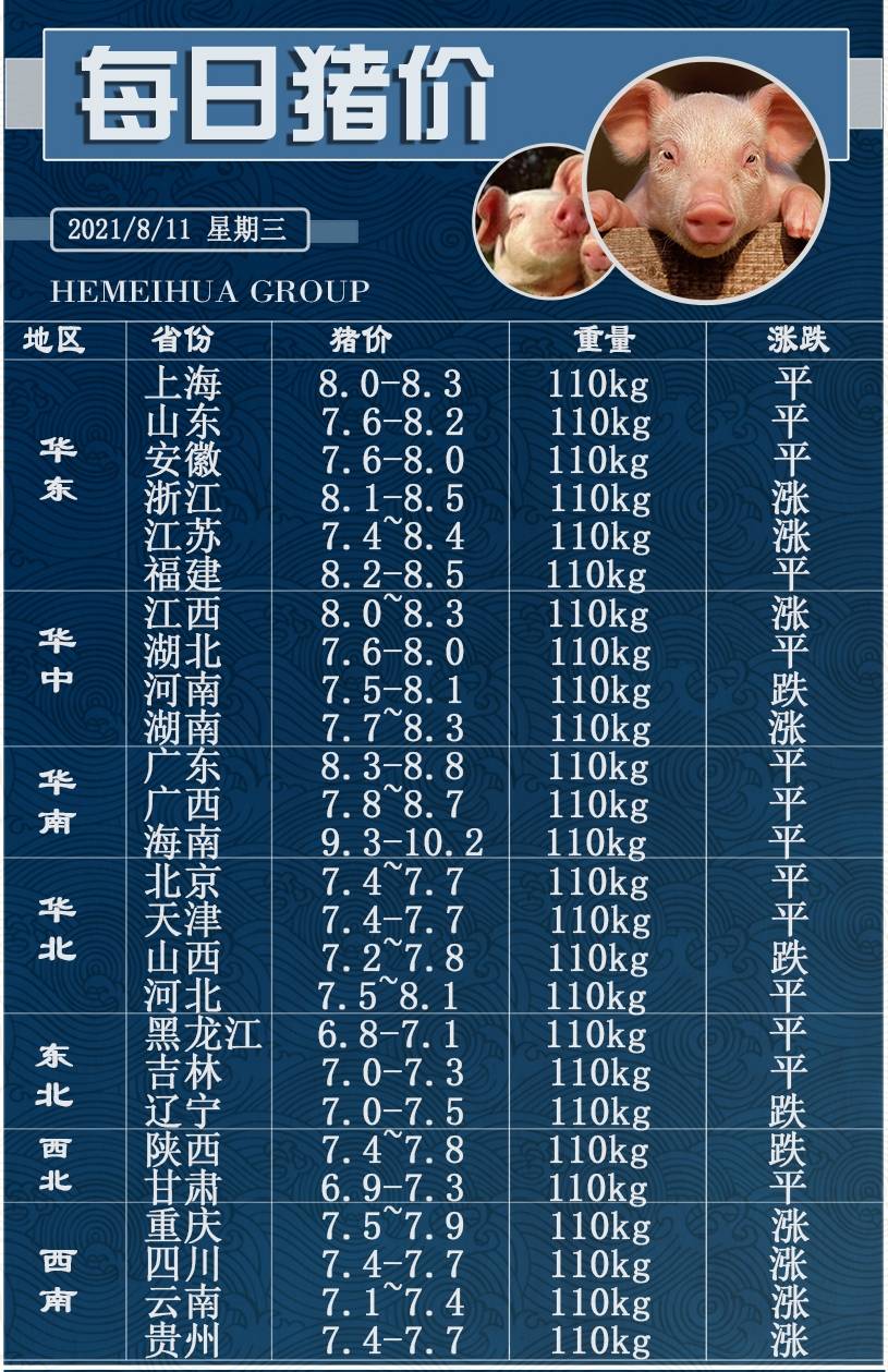 今日猪价最早价格网，最新动态与市场趋势深度解析