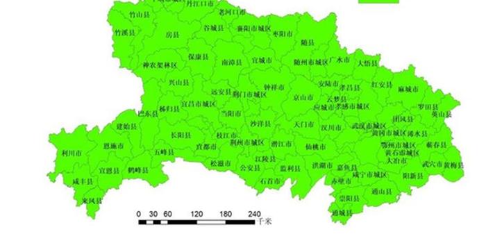 武汉抗疫历程，全球视角下的反思与启示
