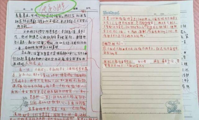 缪可馨事件揭幕，最新消息引领事件开端