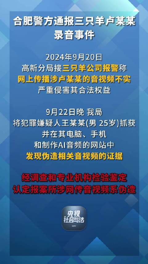 安徽合肥警方最新消息揭秘