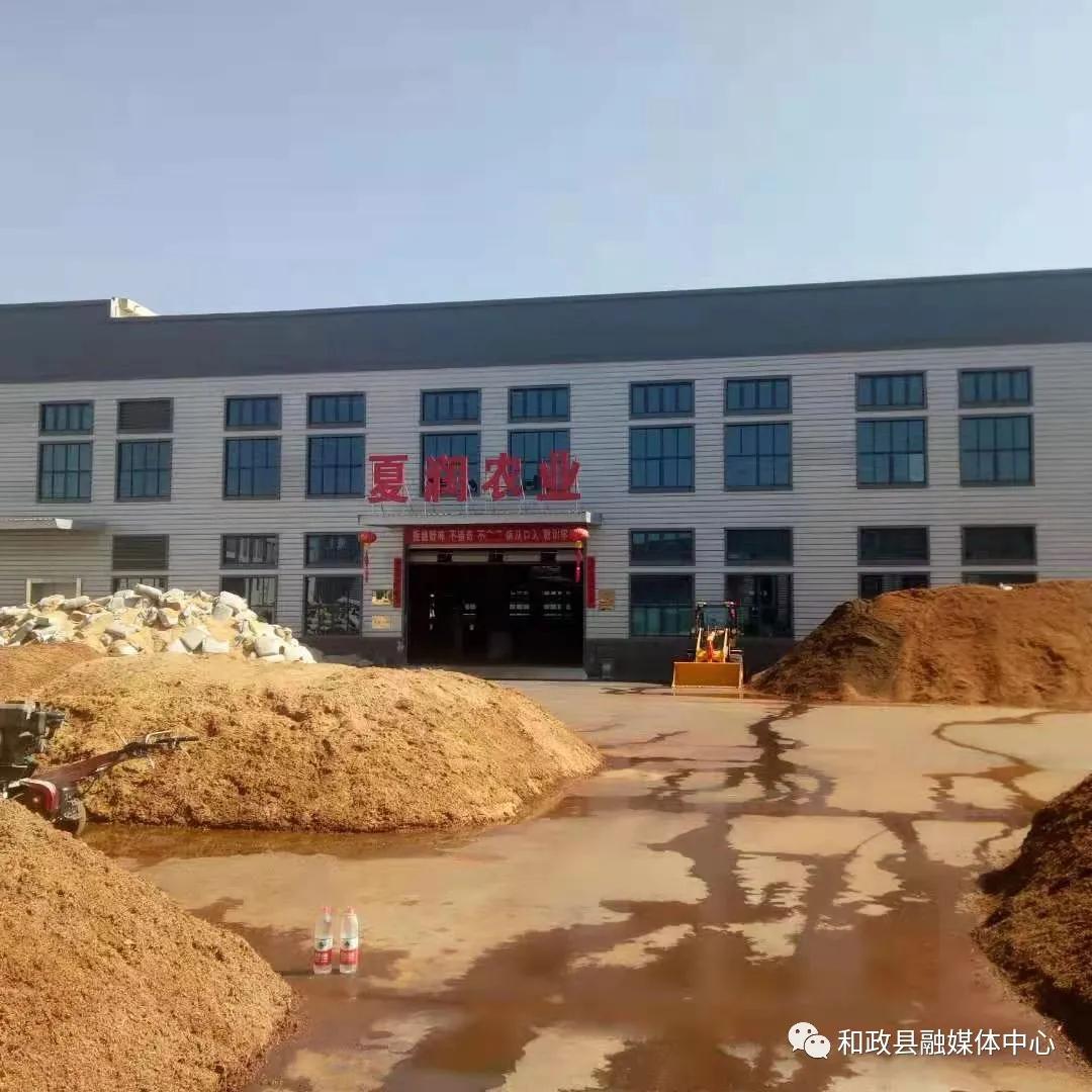 李国辉传奇人生的起点揭秘