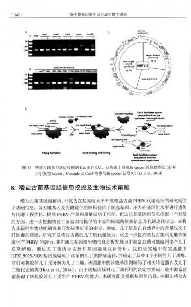 微生物起源与早期研究进展探索