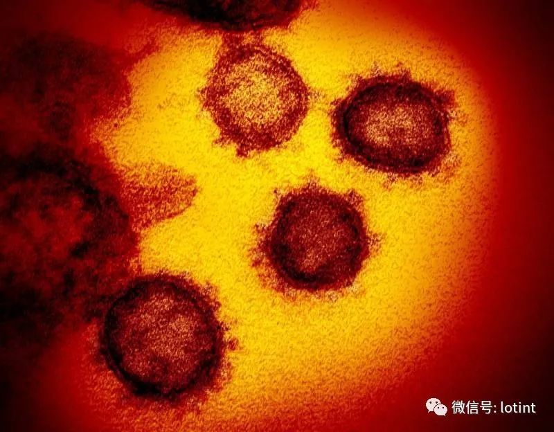 揭秘新型病毒真面目，探索与挑战应对之道