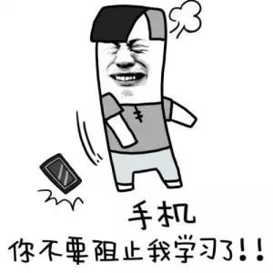 神秘宠物传奇故事揭秘，薄爪爪的起源与成长之路