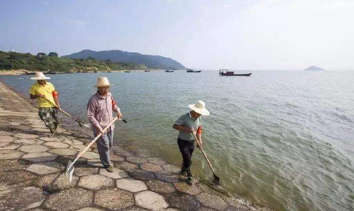 鄱阳湖洪水最早情况解析与应对分析
