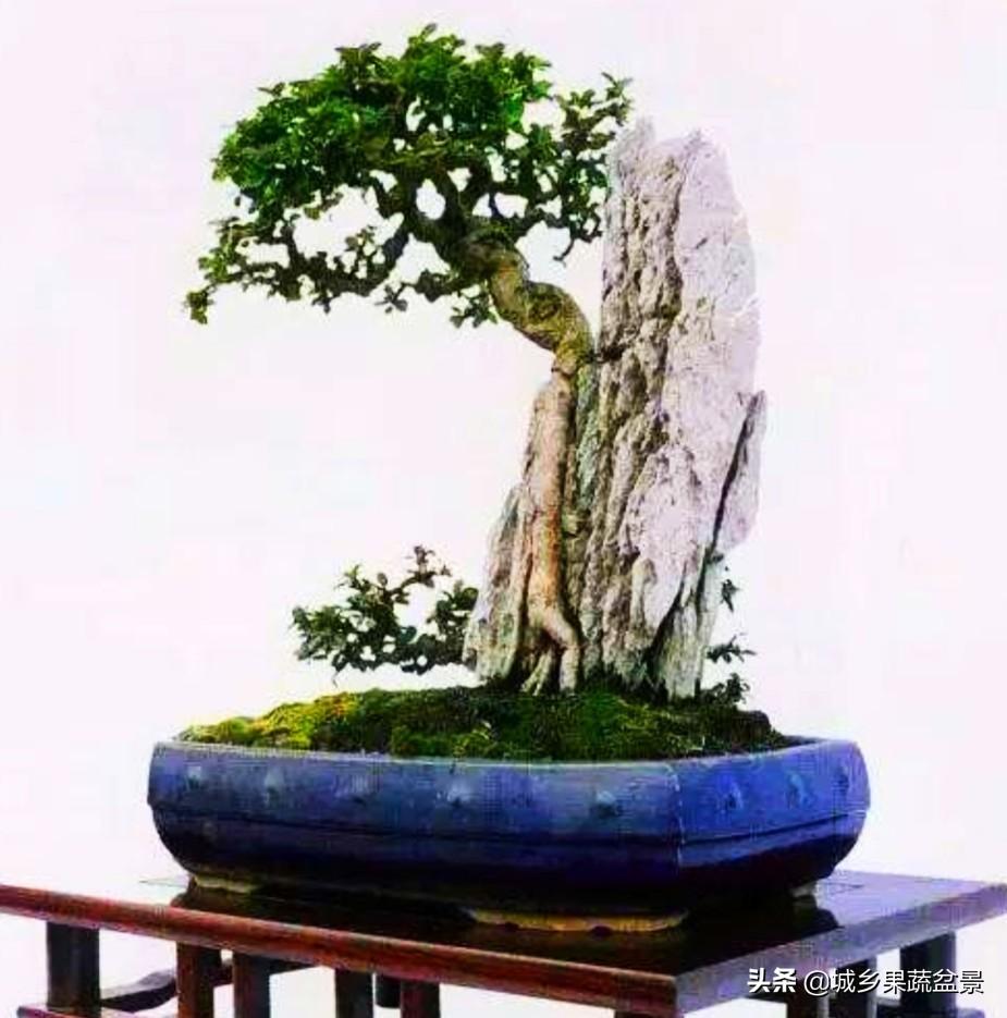 叶伏天氏最早章节列表，奇幻世界起点探索