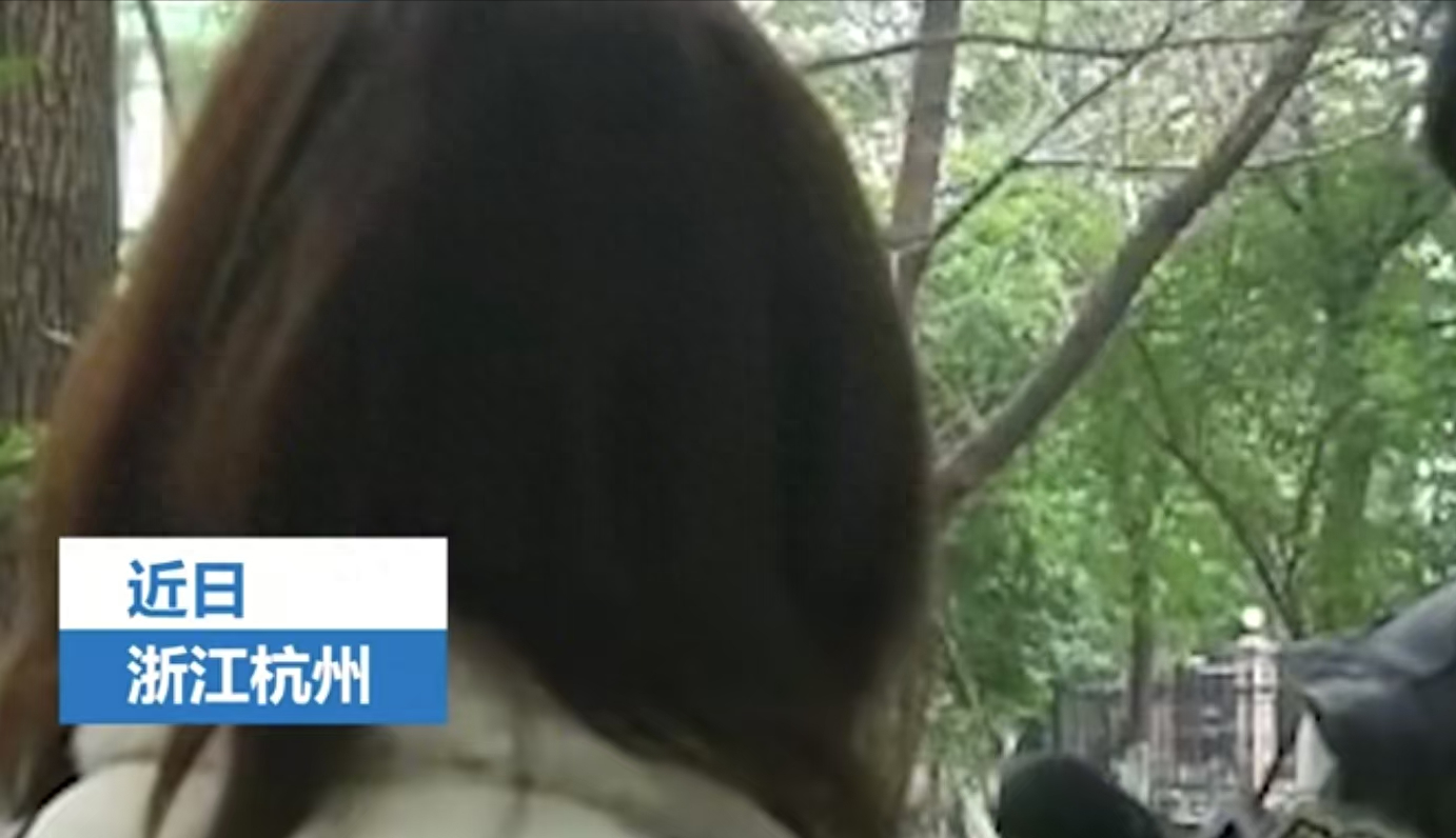 浙江来女士早期消息揭秘，探寻背后故事，一探究竟